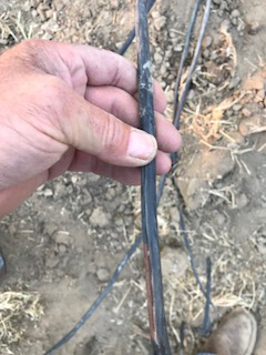 damaged wire